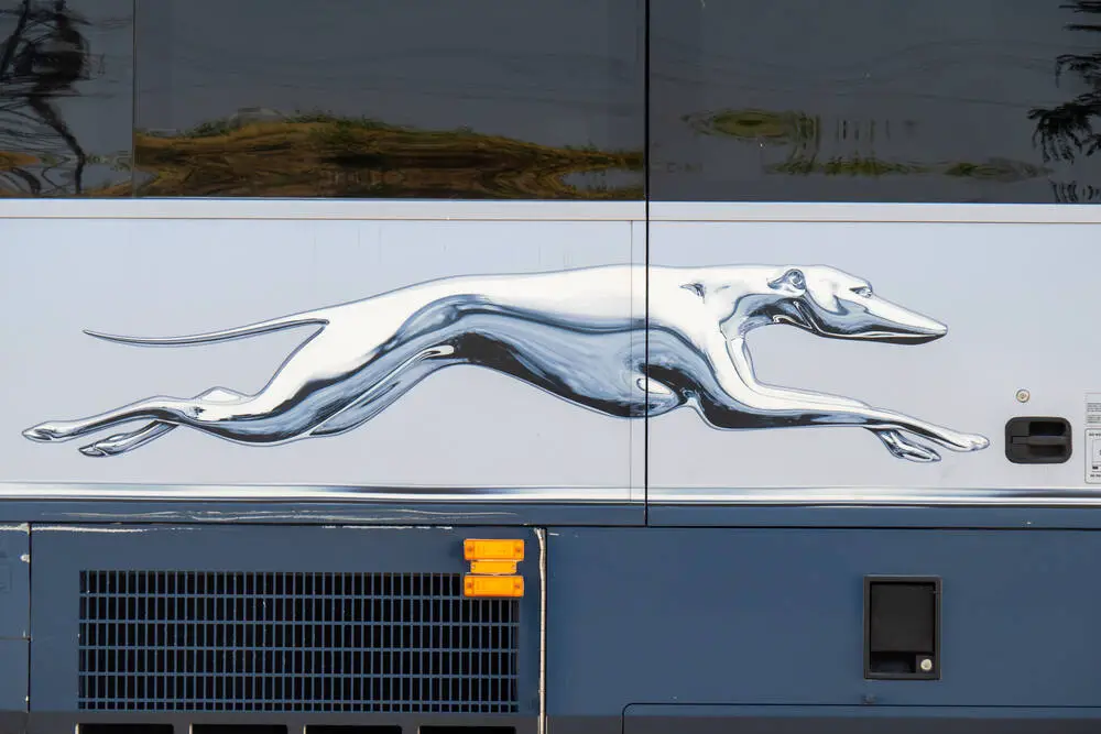 How To Travel Without ID Greyhound